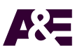 A&E Logo