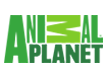 Animal Planet Logo